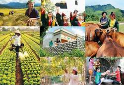 Triển khai Nghị quyết về chủ trương đầu tư các chương trình MTQG