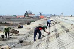 Triển khai hiệu quả công tác phòng, chống thiên tai