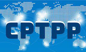Sửa đổi hướng dẫn đấu thầu mua sắm theo Hiệp định CPTPP - Ảnh 1.