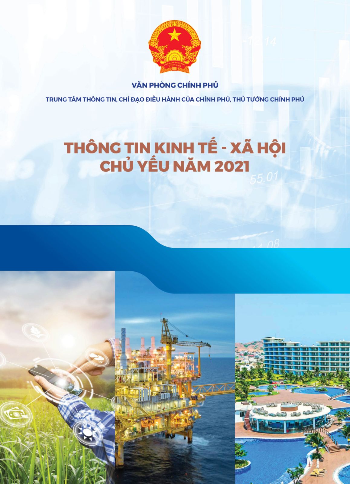 Thông tin kinh tế-xã hội chủ yếu năm 2021 - Ảnh 1.