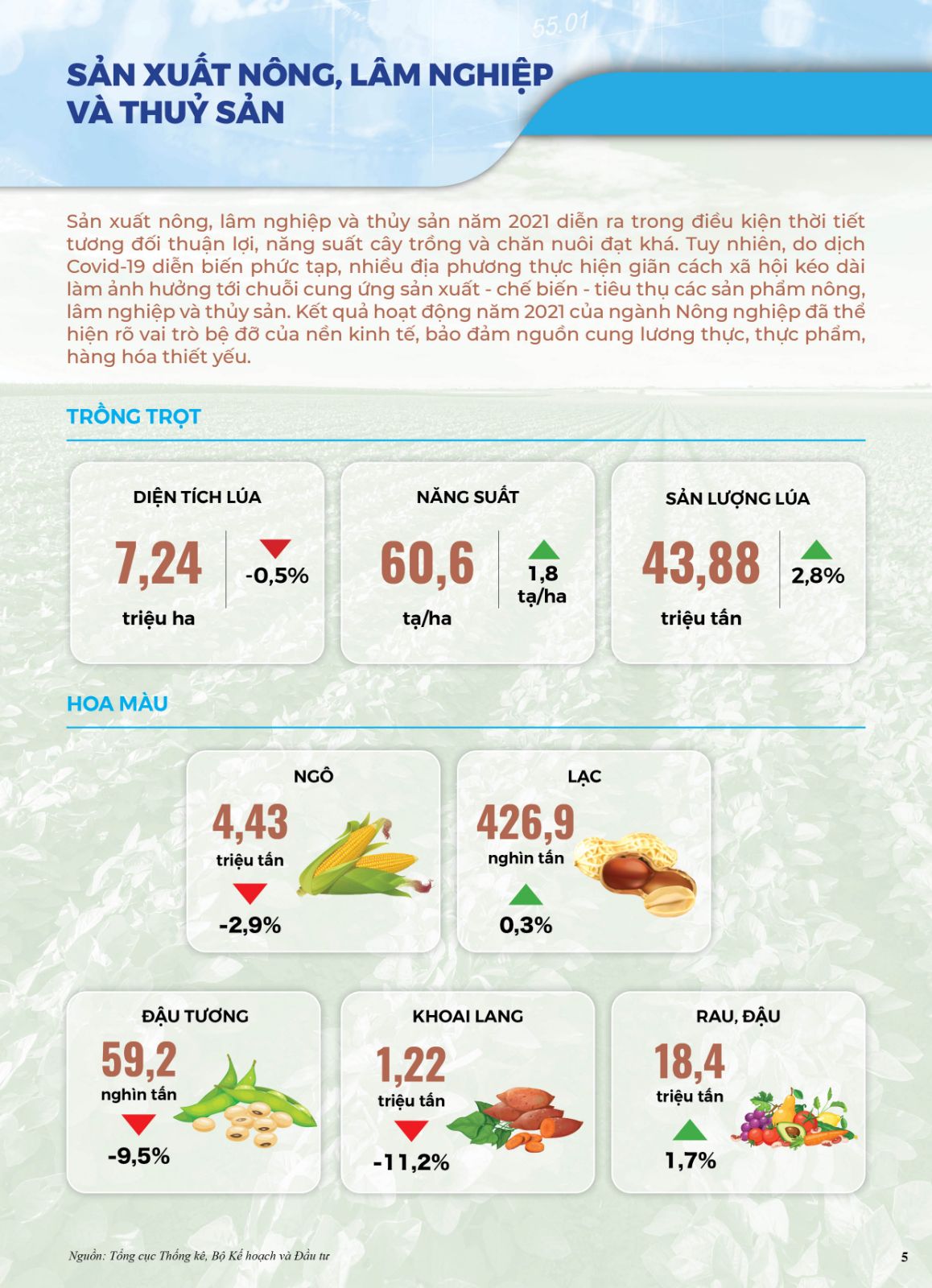 Thông tin kinh tế-xã hội chủ yếu năm 2021 - Ảnh 5.