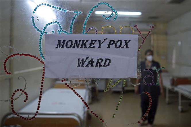 Bệnh Đậu Mùa Khỉ Tại TP.HCM: Tình Hình, Đặc Điểm, Phòng Chống