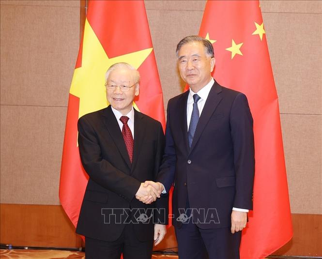 Tổng Bí thư Nguyễn Phú Trọng hội kiến Chủ tịch Chính hiệp Trung Quốc Uông Dương - Ảnh 2.