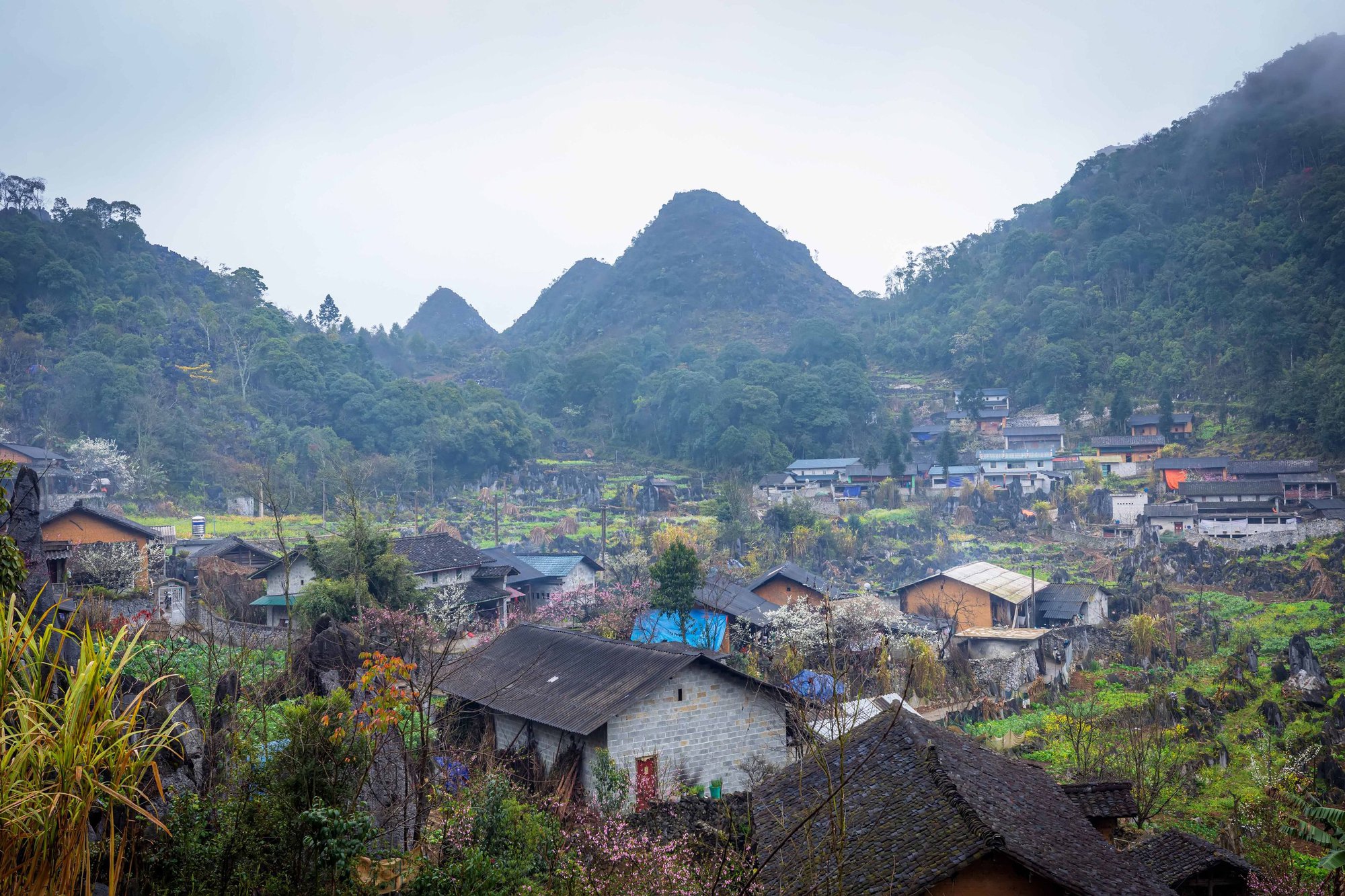 Sức sống cao nguyên đá - Ảnh 4.