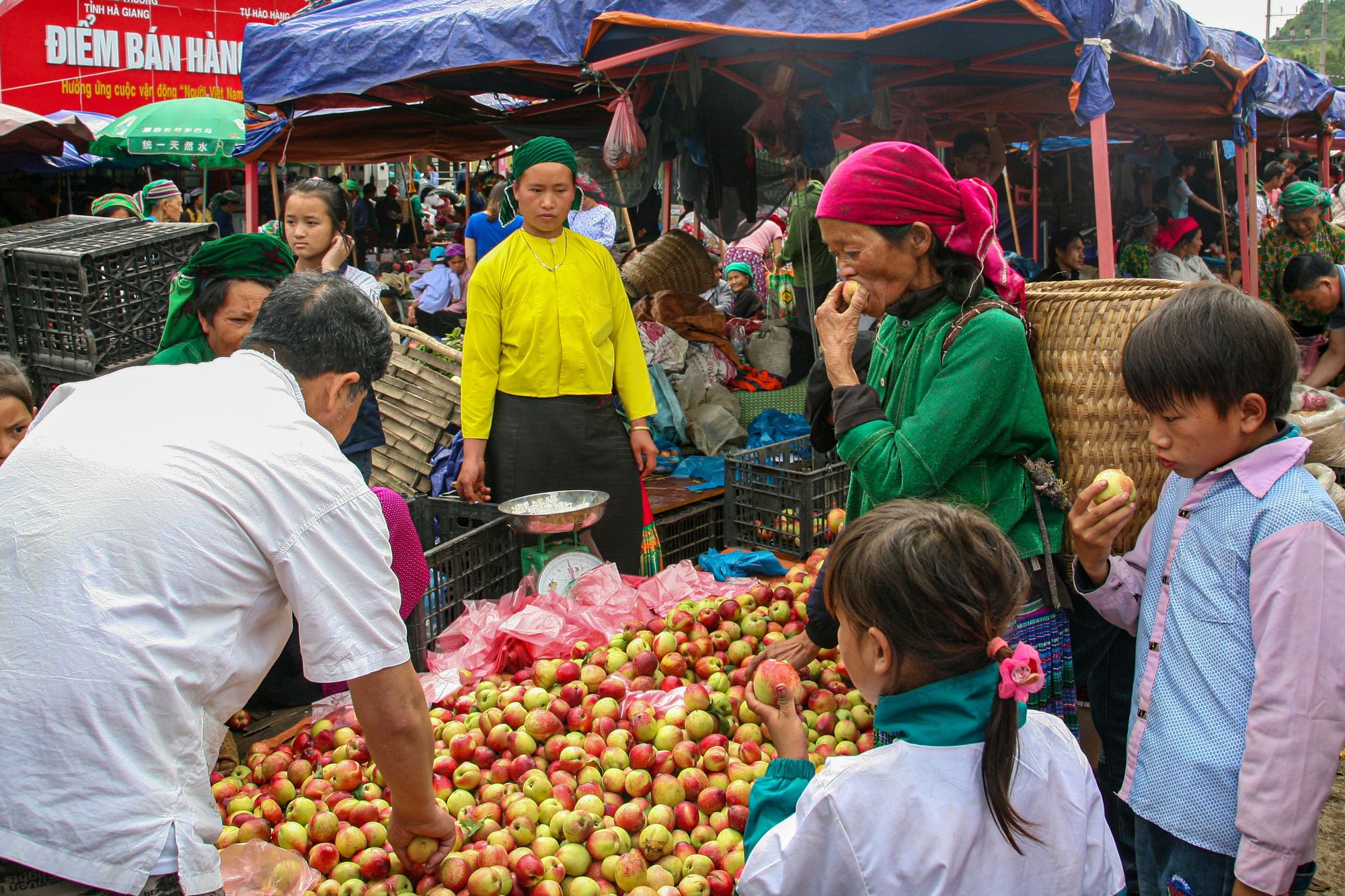 Sức sống cao nguyên đá - Ảnh 9.