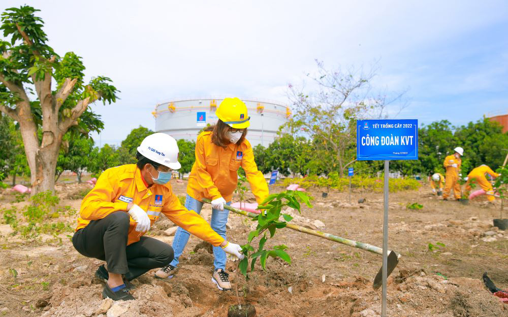 Tiếp tục 'phủ xanh' Kho cảng PV GAS Vũng Tàu