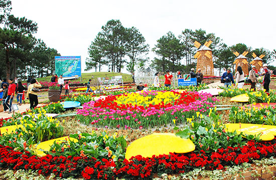 Lâm Đồng tổ chức Festival Hoa Đà Lạt và nhiều sự kiện phục hồi du lịch - Ảnh 1.