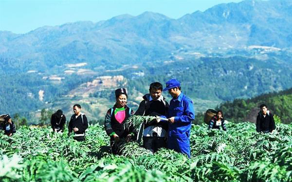 5 nhiệm vụ, giải pháp trọng tâm phát triển kinh tế - xã hội khu vực biên giới đất liền