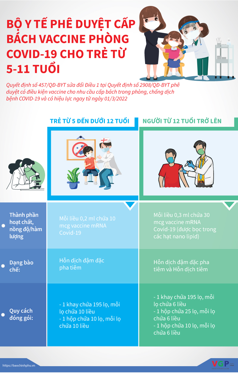 Phê duyệt cấp bách vaccine phòng COVID-19 cho trẻ từ 5-11 tuổi - Ảnh 1.