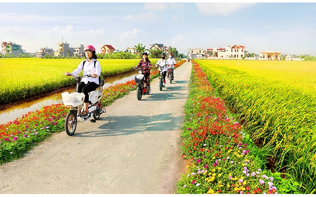 Ban hành Bộ tiêu chí xã nông thôn mới giai đoạn 2021 - 2025