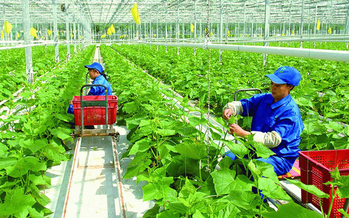 Việt Nam ưu tiên nông nghiệp xanh