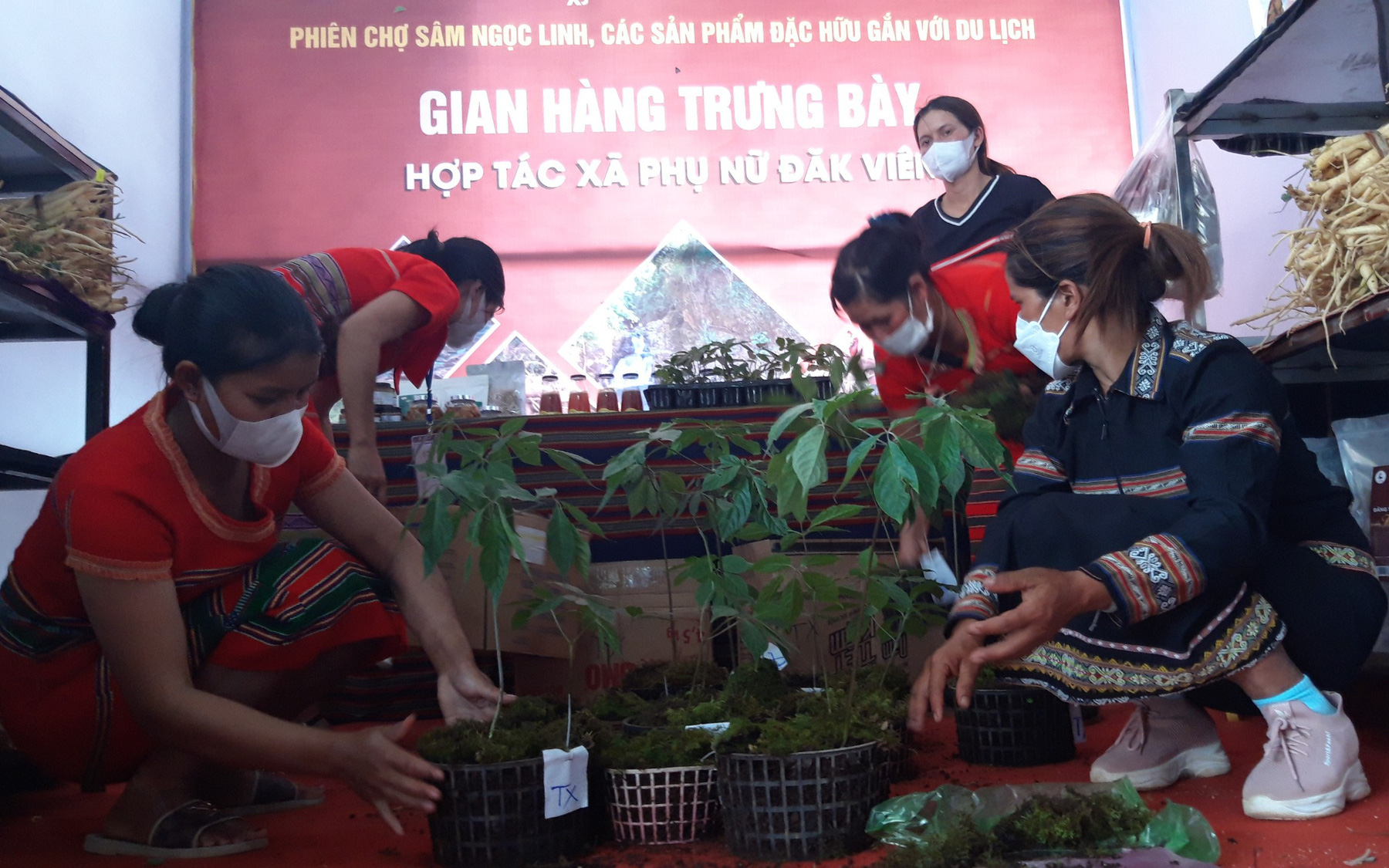 Kon Tum lần đầu tiên tổ chức phiên chợ sâm Ngọc Linh
