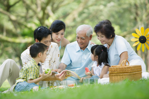 Triển khai Chiến lược phát triển gia đình Việt Nam đến năm 2030 - Ảnh 1.