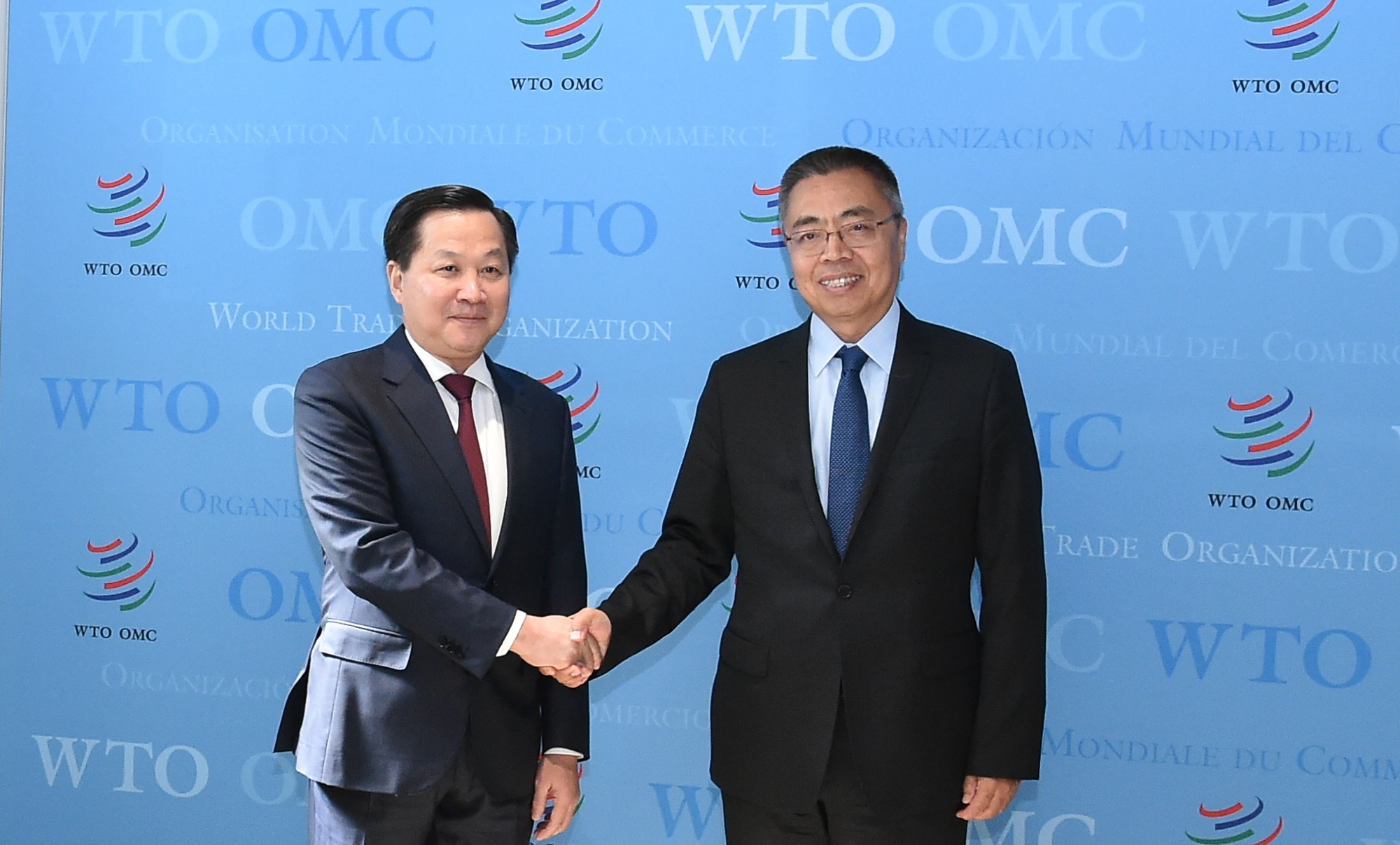Phó Thủ tướng Lê Minh Khái làm việc với Phó Tổng Giám đốc WTO - Ảnh 1.
