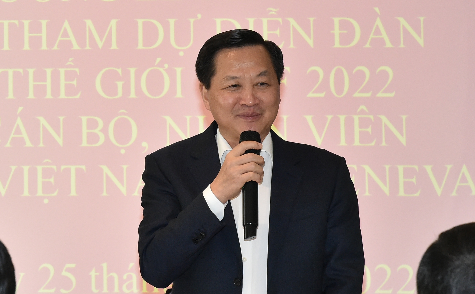 Phó Thủ tướng Lê Minh Khái làm việc với Phó Tổng Giám đốc WTO - Ảnh 8.