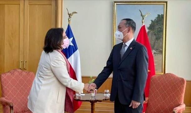 Việt Nam - đối tác thương mại lớn nhất của Chile trong ASEAN - Ảnh 1.