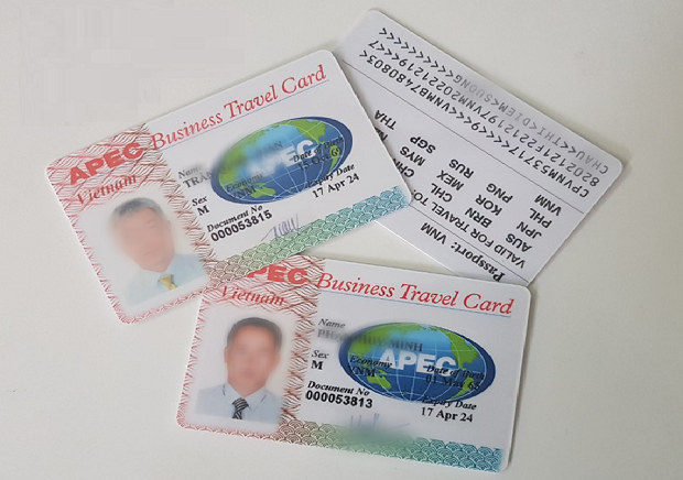 Đề xuất quản lý thẻ đi lại của doanh nhân APEC - Ảnh 1.
