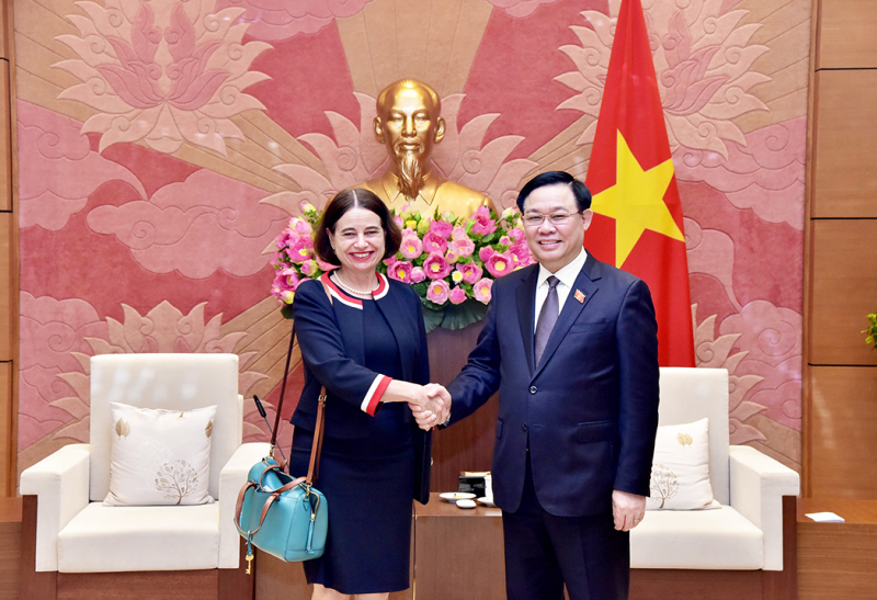 Chủ tịch Quốc hội Vương Đình Huệ tiếp Đại sứ Australia tại Việt Nam  - Ảnh 2.