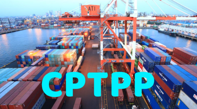 Thuế xuất khẩu ưu đãi thực hiện Hiệp định CPTPP từ 8,3%-3,6% - Ảnh 1.