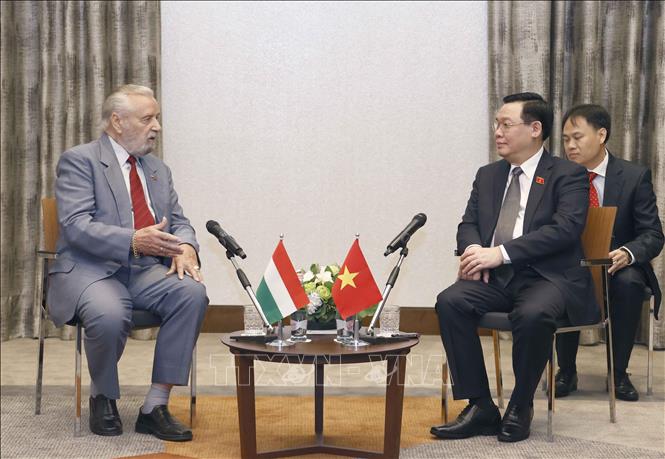 Chủ tịch Quốc hội Vương Đình Huệ tiếp lãnh đạo Hội Hữu nghị Hungary-Việt Nam - Ảnh 1.