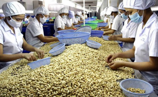 Hỗ trợ doanh nghiệp xuất khẩu thực phẩm sang các thị trường thành viên RCEP - Ảnh 1.