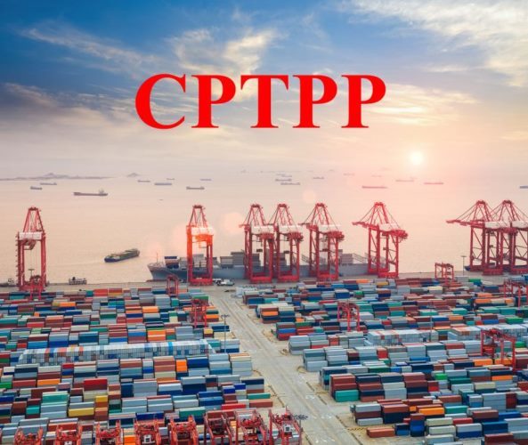 Đấu thầu mua sắm hàng hóa theo Hiệp định CPTPP đảm bảo cạnh tranh ...