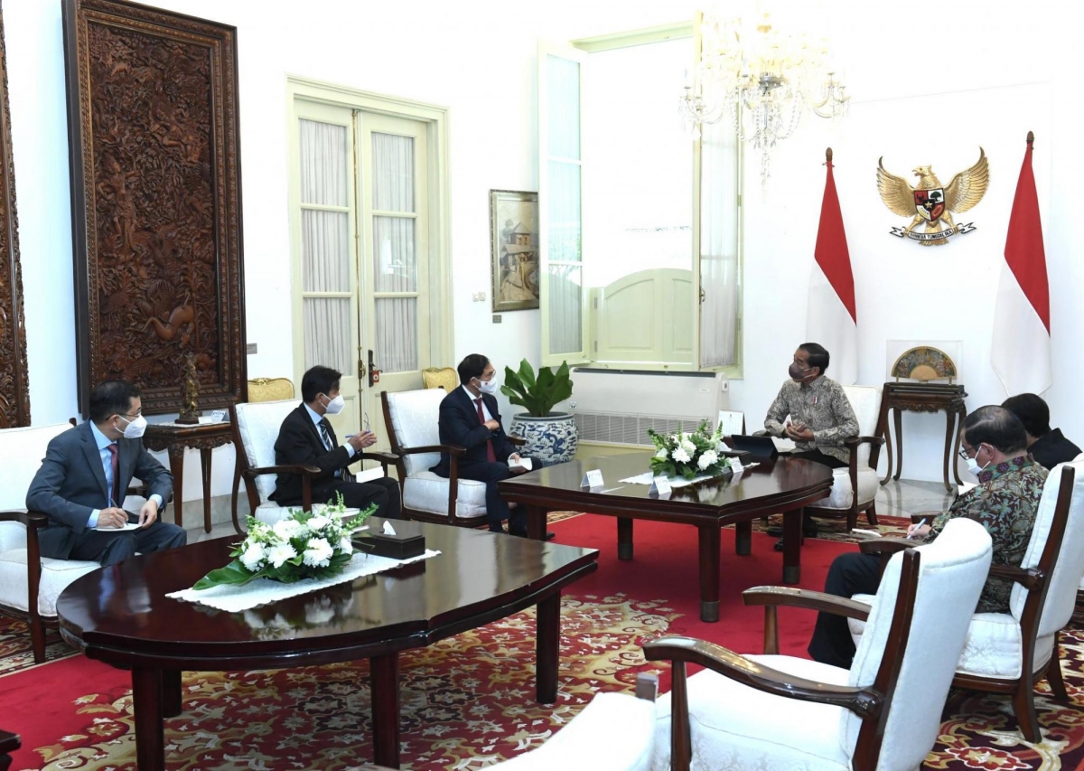 Bộ trưởng Ngoại giao Bùi Thanh Sơn tiếp kiến Tổng thống Indonesia Joko Widodo - Ảnh 2.