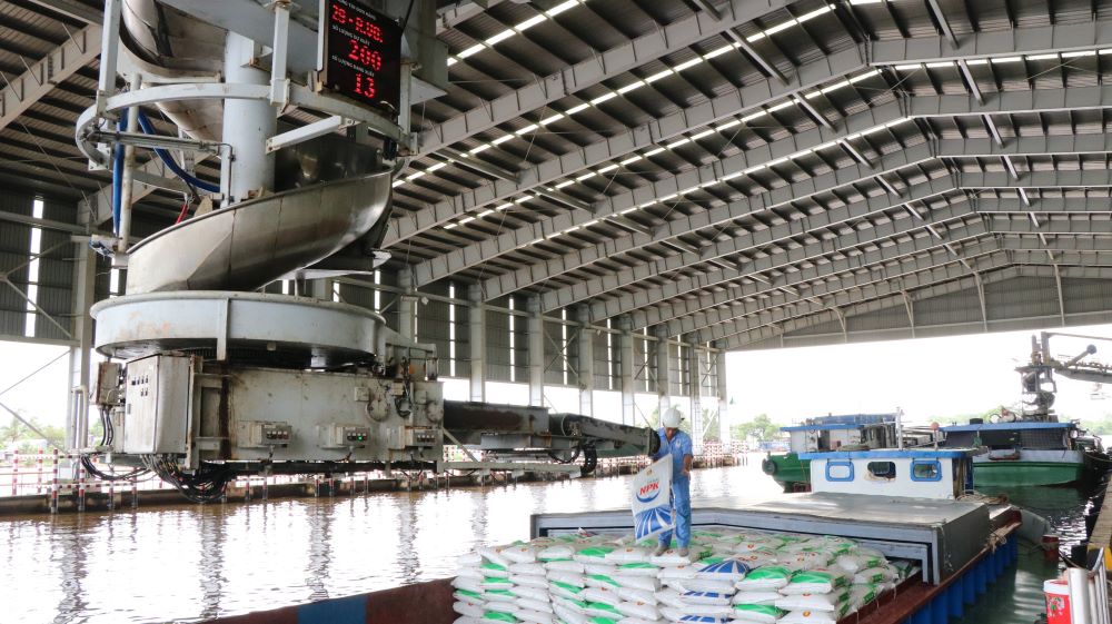 NPK Cà Mau cùng bà con nông dân nâng cao năng suất cây trồng - Ảnh 2. NPK Cà Mau cùng bà con nông dân nâng cao năng suất cây trồng - Ảnh 2.