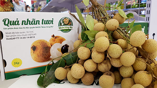 10 tấn nhãn Việt đã có mặt tại Australia - Ảnh 1. 10 tấn nhãn Việt đã có mặt tại Australia - Ảnh 1.