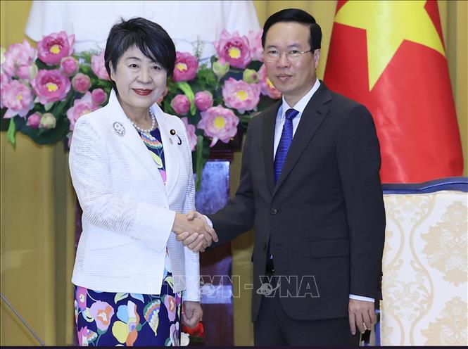 Việt Nam - Nhật Bản có nhiều điểm chung và dư địa để phát triển quan hệ hợp tác hữu nghị - Ảnh 1.