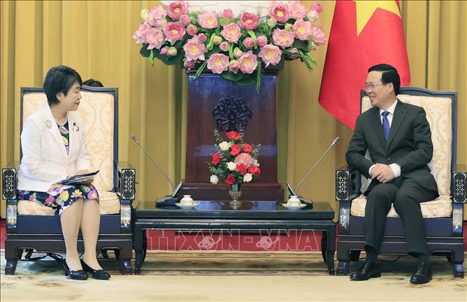 Việt Nam - Nhật Bản có nhiều điểm chung và dư địa để phát triển quan hệ hợp tác hữu nghị - Ảnh 2.