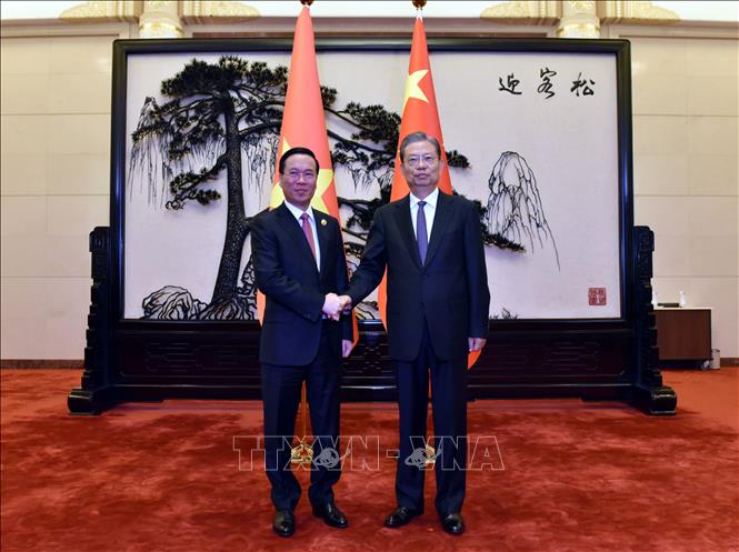 Chủ tịch nước Võ Văn Thưởng hội kiến Ủy viên trưởng Nhân đại toàn quốc Trung Quốc Triệu Lạc Tế - Ảnh 1.
