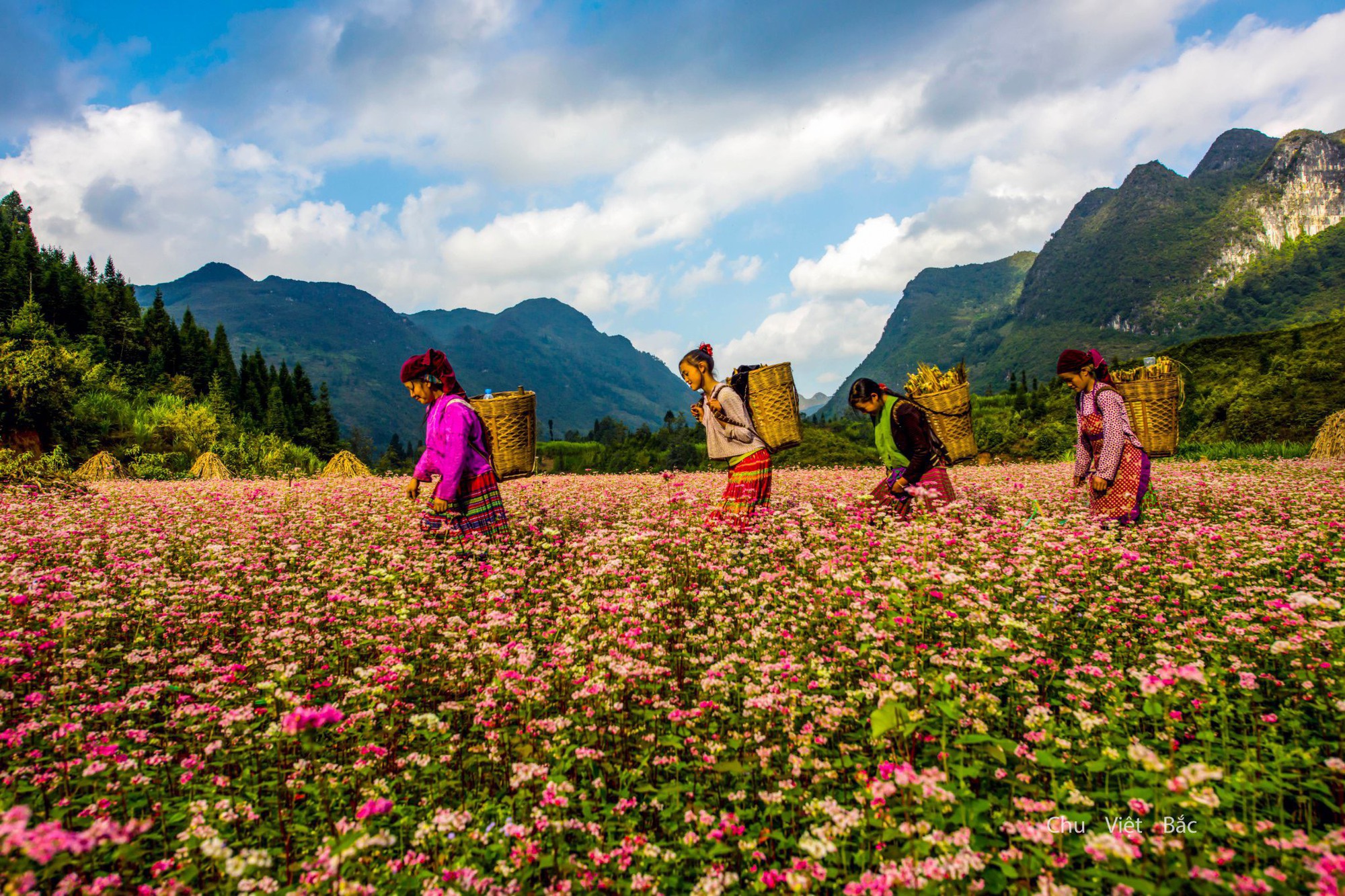 Ha Giang Loop: Why Touring with an Ethnic Minority Guide Creates the Ultimate Vietnam Adventure 4 Xây dựng thương hiệu du lịch Hà Giang là điểm đến an toàn, hấp dẫn, đặc sắc