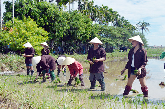 Tiềm năng du lịch nông thôn, du lịch cộng đồng của Việt Nam rất lớn- Ảnh 2.