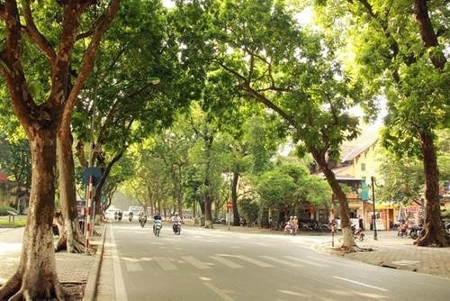 Thời tiết Hà Nội ngày nắng, rét về đêm và sáng- Ảnh 1. Thời tiết Hà Nội ngày nắng, rét về đêm và sáng- Ảnh 1.