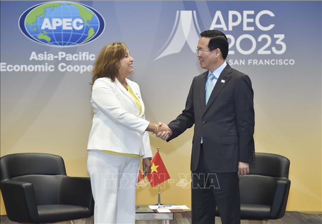 Chủ tịch nước Võ Văn Thưởng gặp Tổng thống Peru, khẳng định tăng cường hợp tác- Ảnh 1.