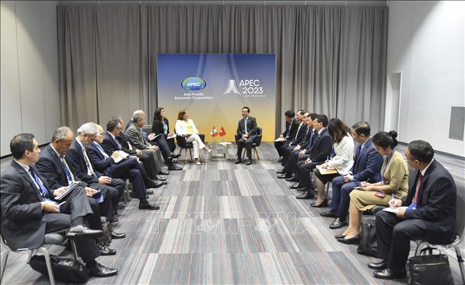 Chủ tịch nước Võ Văn Thưởng gặp Tổng thống Peru, khẳng định tăng cường hợp tác- Ảnh 2.