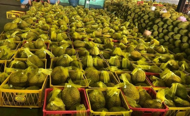 Hiểu thị trường Trung Quốc để xuất khẩu bền vững- Ảnh 5. Hiểu thị trường Trung Quốc để xuất khẩu bền vững- Ảnh 5.