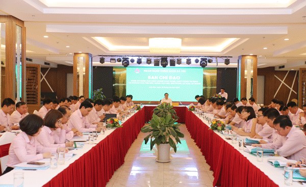 Nỗ lực bảo đảm ổn định chất lượng tín dụng chính sách tại 5 tỉnh Tây Nam Bộ - Ảnh 1.