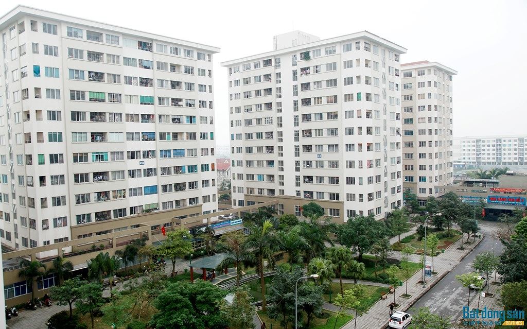 nhao-16813729678021084407937.jpg