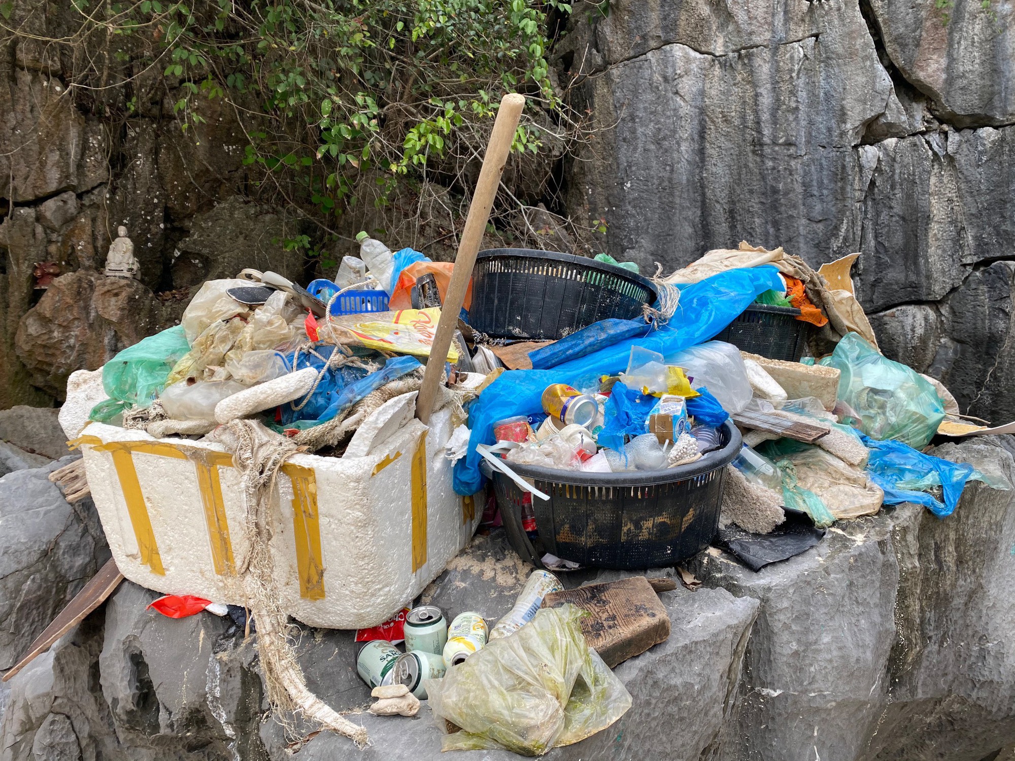 Xử lý rác thải nhựa Siêu giun có thể là giải pháp mới  Tạp chí Kinh tế  và Dự báo