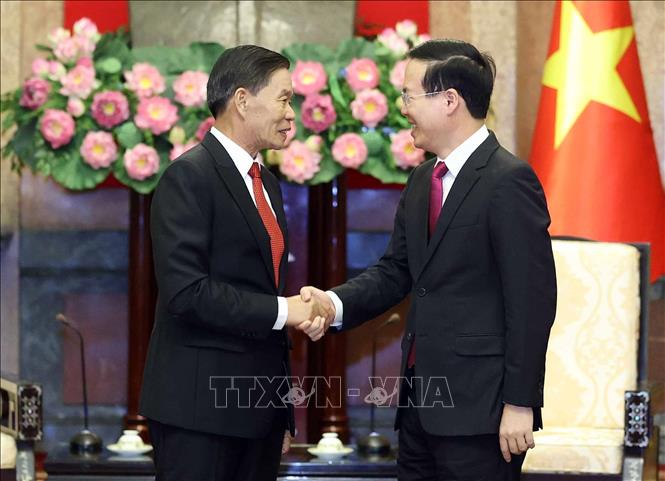 Chủ tịch nước tiếp Đoàn đại biểu Trung ương Mặt trận Lào xây dựng đất nước - Ảnh 1.