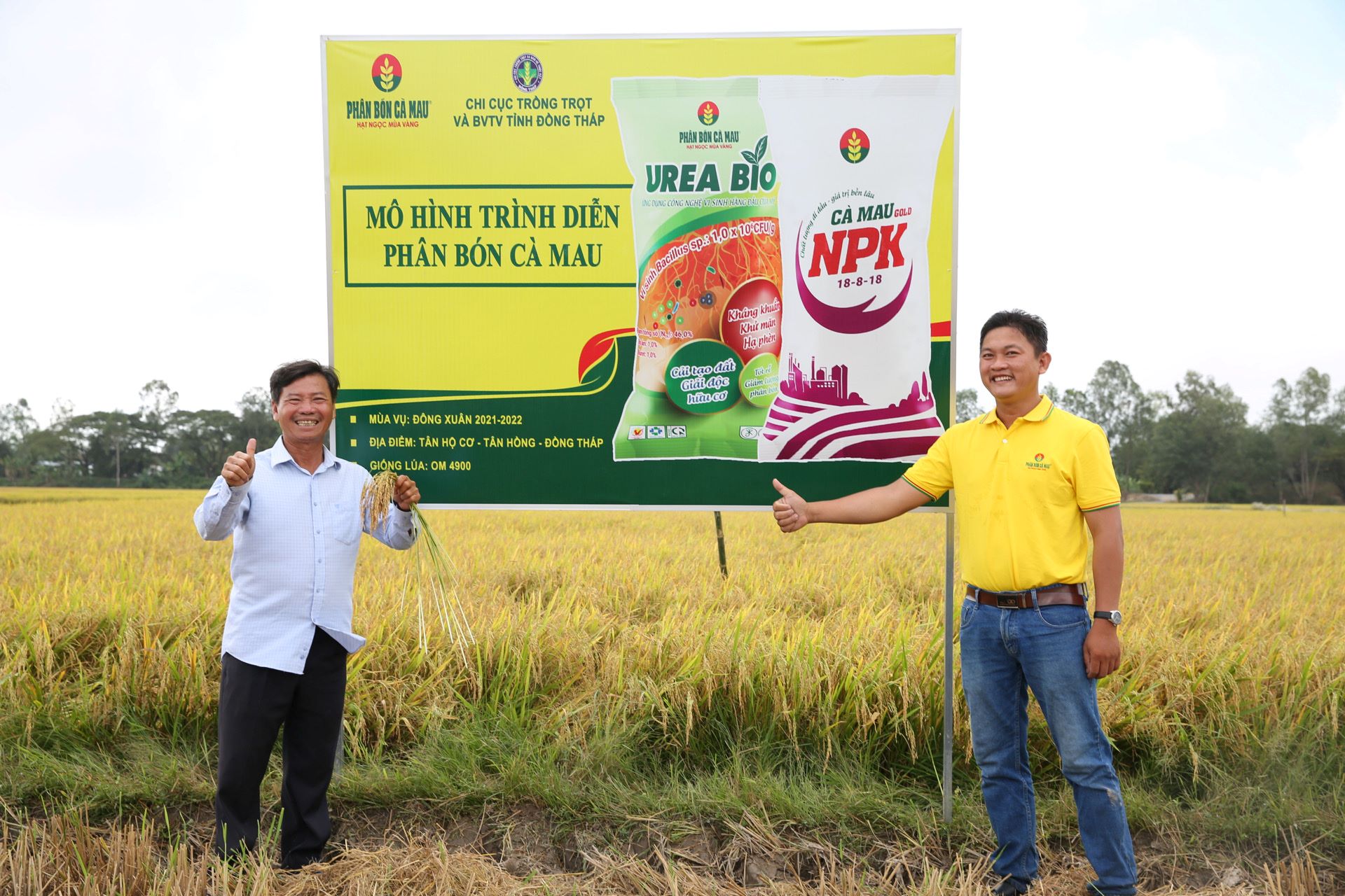 Kết quả mô hình khuyến nông sản xuất lúa có năng suất cao vụ mùa 2022 tại  xã Đăk Ui  Huyện Đăk 