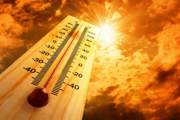 Cảnh báo nắng nóng kỷ lục trên toàn cầu - Ảnh 1.