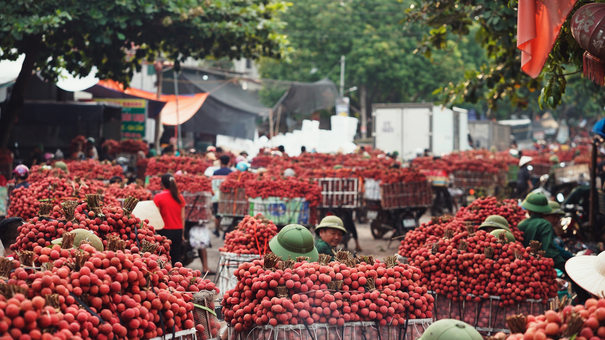 Dự án GrabConnect: Hành trình bền bỉ đa dạng đầu ra cho nông sản Việt - Ảnh 1. Dự án GrabConnect: Hành trình bền bỉ đa dạng đầu ra cho nông sản Việt - Ảnh 1.