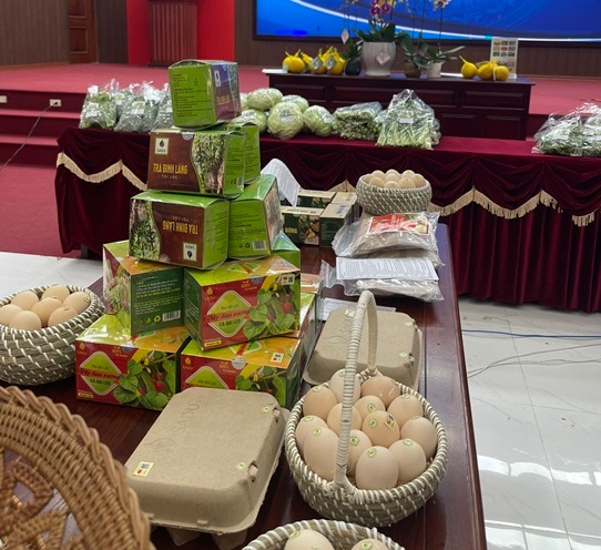 Đầu tư công nghệ phát triển sản phẩm OCOP - Ảnh 3. Đầu tư công nghệ phát triển sản phẩm OCOP - Ảnh 3.