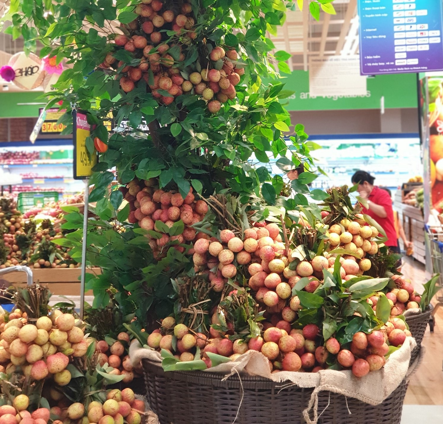 Tưng bừng lễ hội trái cây tại hệ thống Co.opmarrt trên toàn quốc - Ảnh 2. Tưng bừng lễ hội trái cây tại hệ thống Co.opmarrt trên toàn quốc - Ảnh 2.