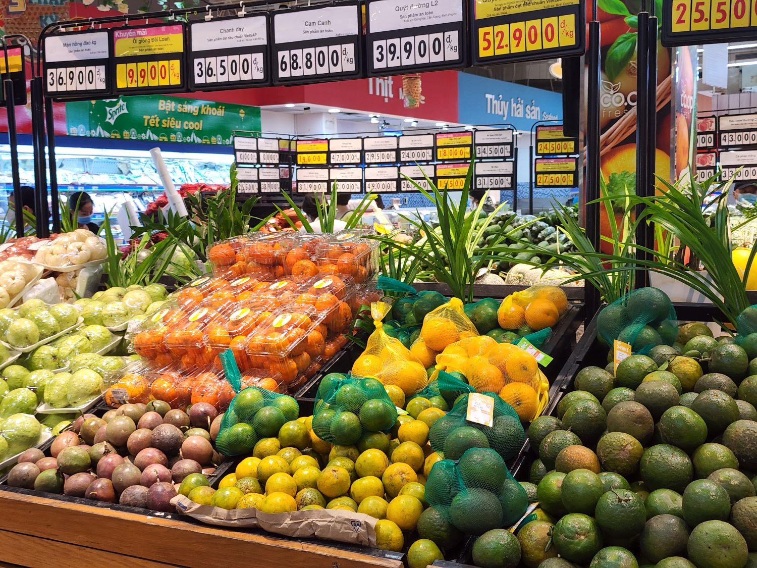 Cơ hội mới cho ngành bán lẻ từ Nghị quyết 98 - Ảnh 2. Cơ hội mới cho ngành bán lẻ từ Nghị quyết 98 - Ảnh 2.