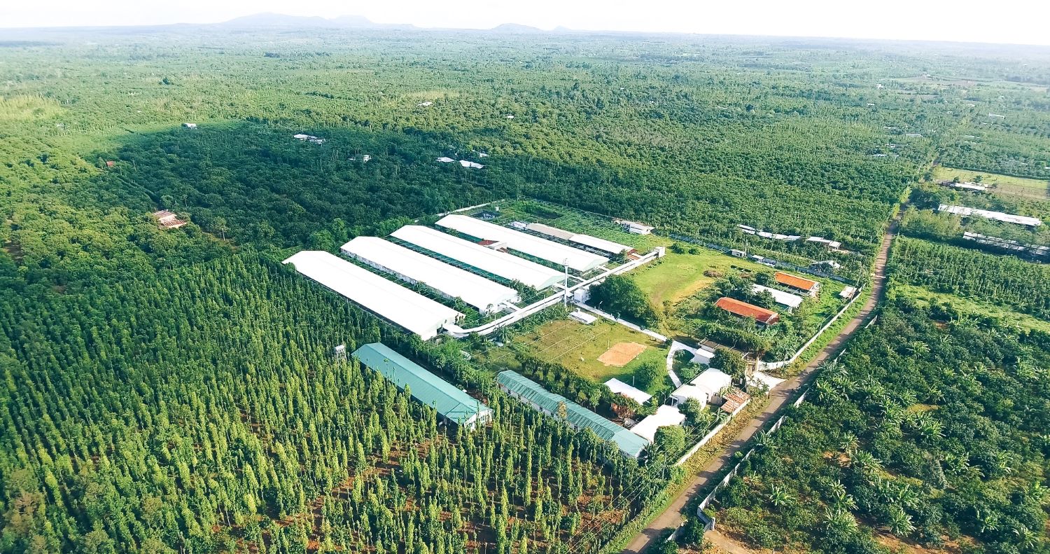 HDBank: Tập trung phát triển trục nông nghiệp và nông thôn - Ảnh 1. HDBank: Tập trung phát triển trục nông nghiệp và nông thôn - Ảnh 1.