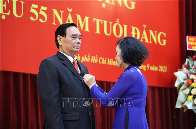 Trao Huy hiệu 55 năm tuổi Đảng cho đồng chí Lê Hồng Anh - Ảnh 1.